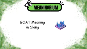boondocks meaning