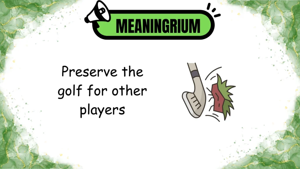 divot meaning