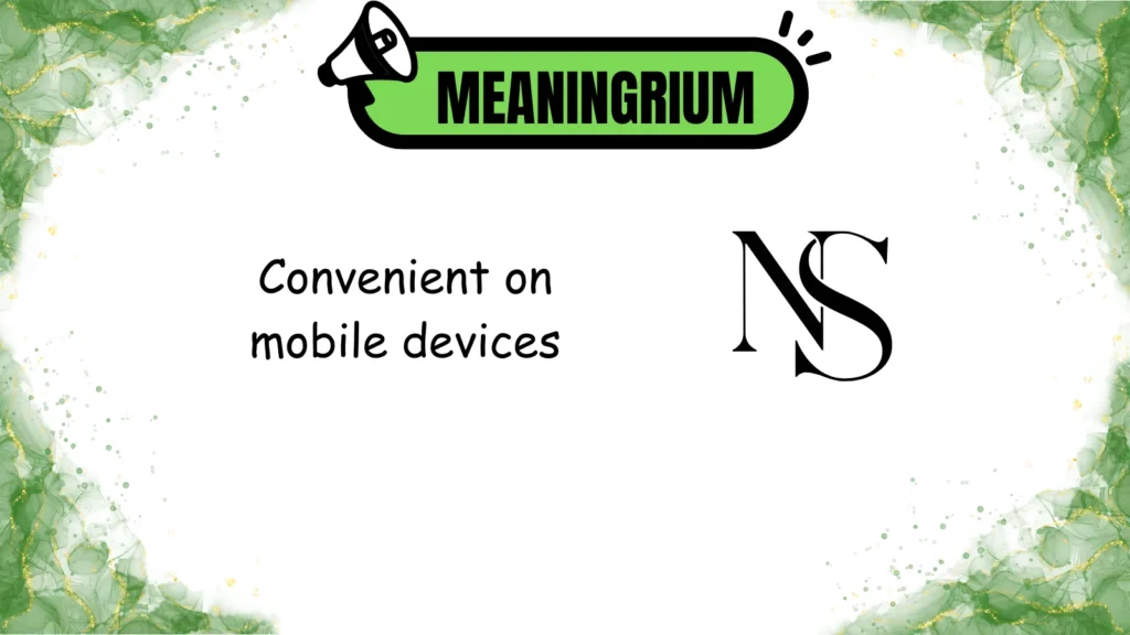 ns meaning