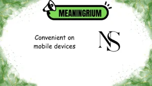ns meaning
