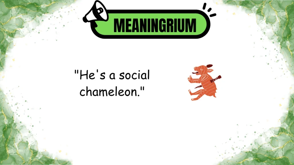shapeshifter meaning