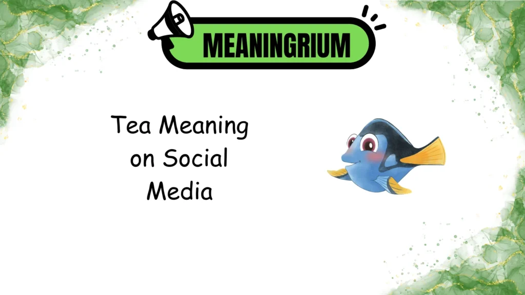 tang meaning
