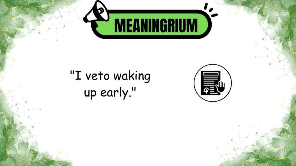 veto meaning